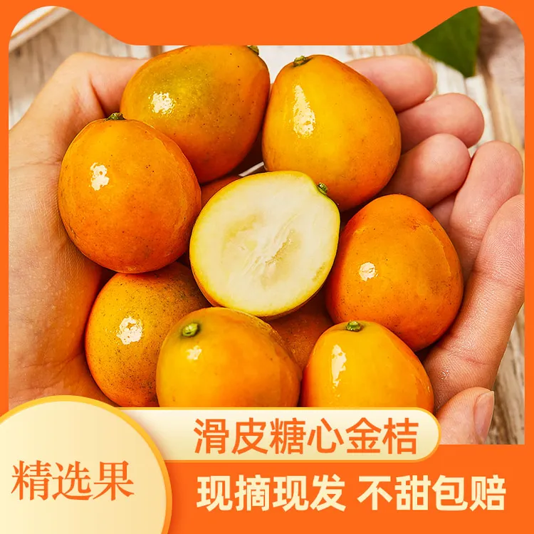 广西融安滑皮金桔无籽皮薄当季新鲜水果大果3/5斤顺丰