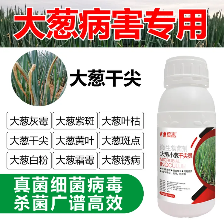 大葱小葱干尖灵病害清预防型专用黄叶叶枯根腐黑斑紫斑微生物肥料