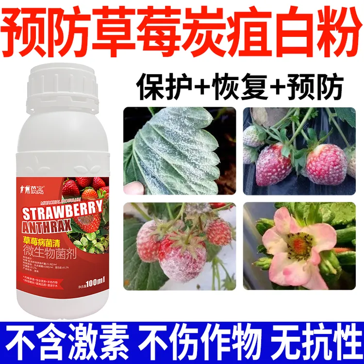 草莓杀菌剂草莓病全治草莓菌肥微生物肥料叶斑病白粉病全治抗病