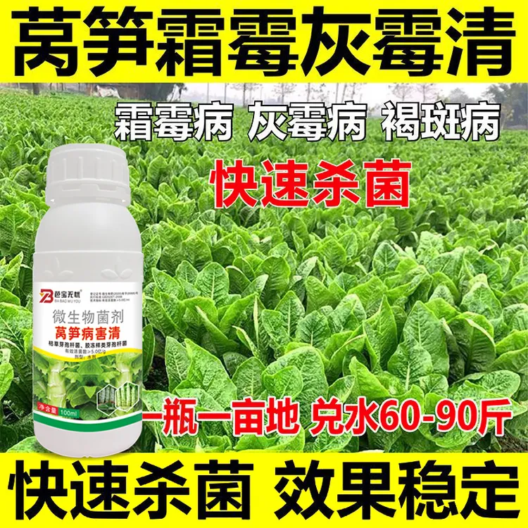 莴笋病专用莴笋病害清霜霉病灰霉病软腐病菌剂防病增产微生物肥料