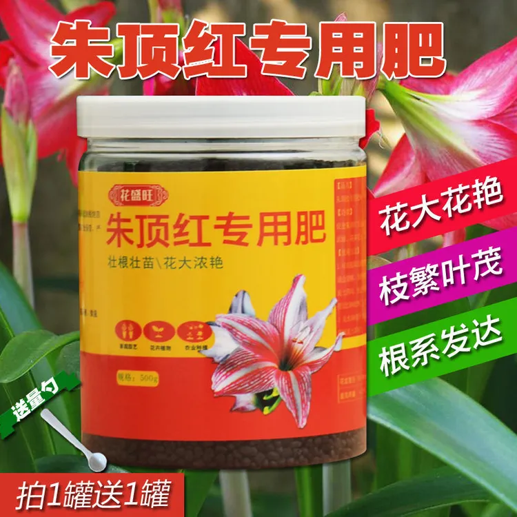朱顶红肥料专用肥红花莲百枝莲华胄兰有机肥盆栽对红营养液促花苞