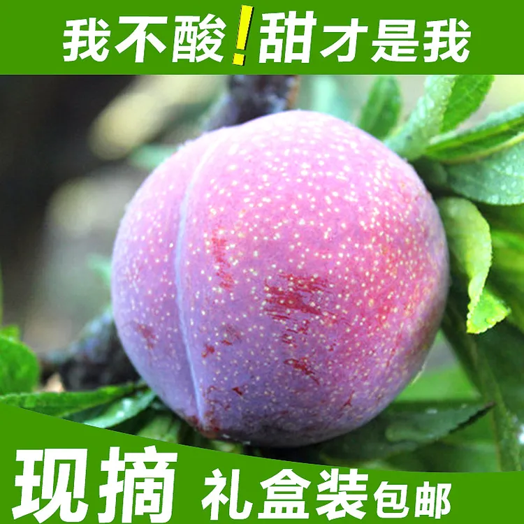 嵊州桃形李新鲜水果现摘现发江南名果江浙沪皖顺丰冷链包邮5斤装