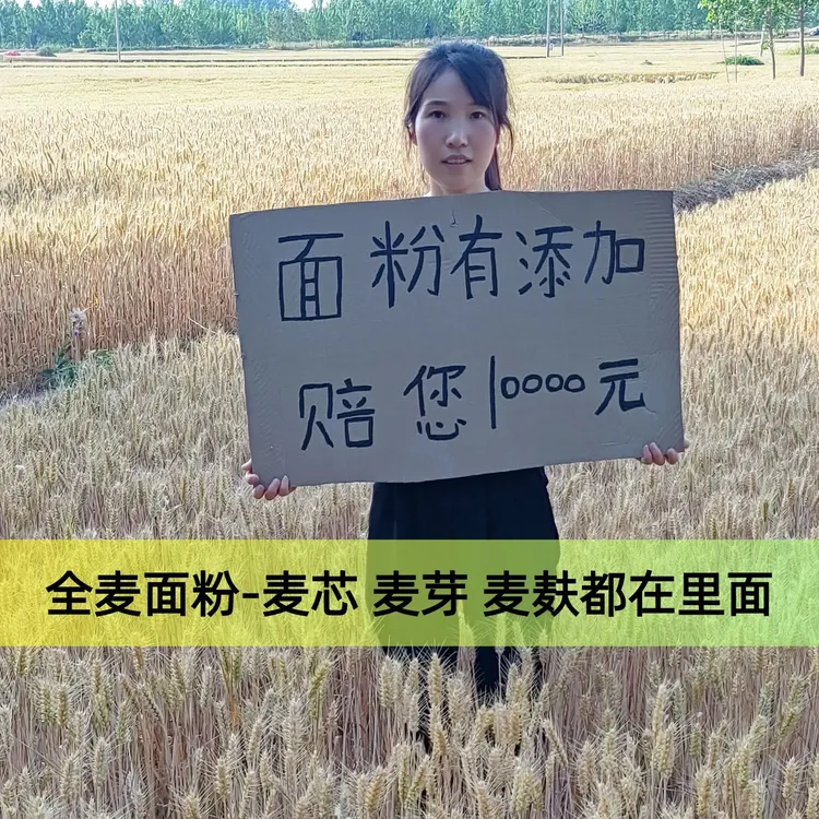全麦面粉丨山东农家自磨无添加面粉儿童面包馒头老品种土小麦粗粮
