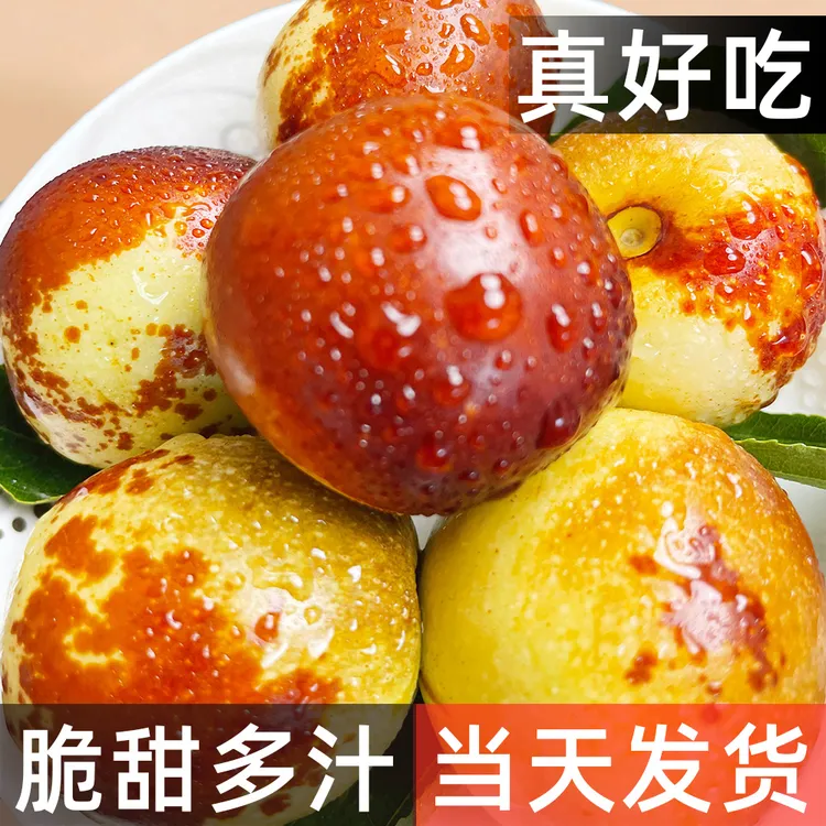【现摘现发】冰糖心冬枣 滨州沾化冬枣 中大果王 脆甜可口 果园直采