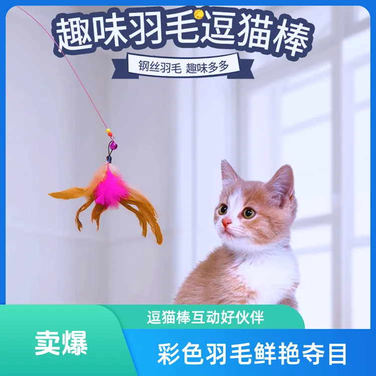钢丝逗猫棒猫玩具吸引趣味宠物逗猫棒娱乐杆火鸡毛彩色羽毛耐用