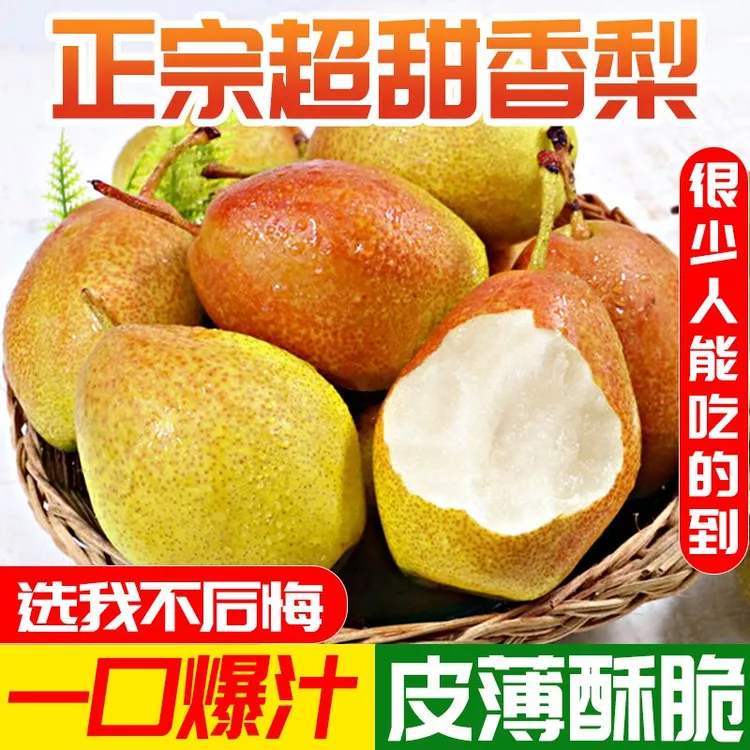 【爆甜多汁】正宗红香酥梨陕西当季新鲜现摘水果库尔勒香梨雪梨皮薄