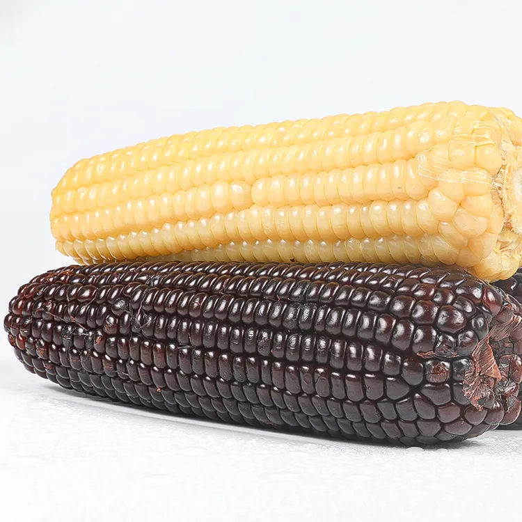 谷苞苞有机种植非转基因黑白糯玉米真空包装新鲜甜糯食用营养