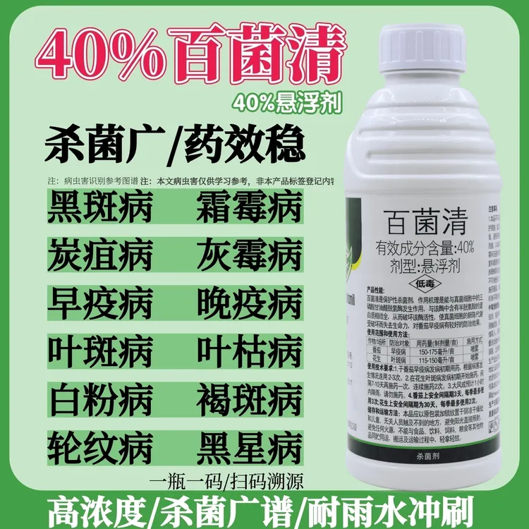 百菌清杀菌剂果树蔬菜白粉病炭疽病叶斑病灰霉病保护性通用杀菌药