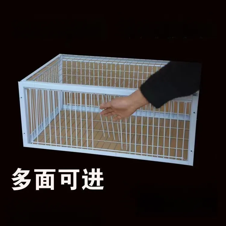 新款家用全自动鸡子笼家用鸽子收鸽笼家用兔子笼天落笼撞门笼防锈