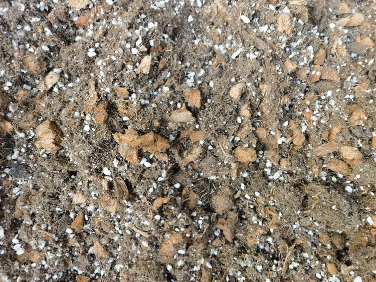 热植类植物专用土