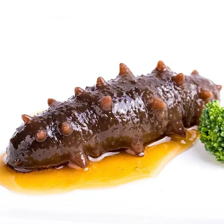 houdashu/侯大叔即食海参滋补化冻即食海参(5-8头/斤)