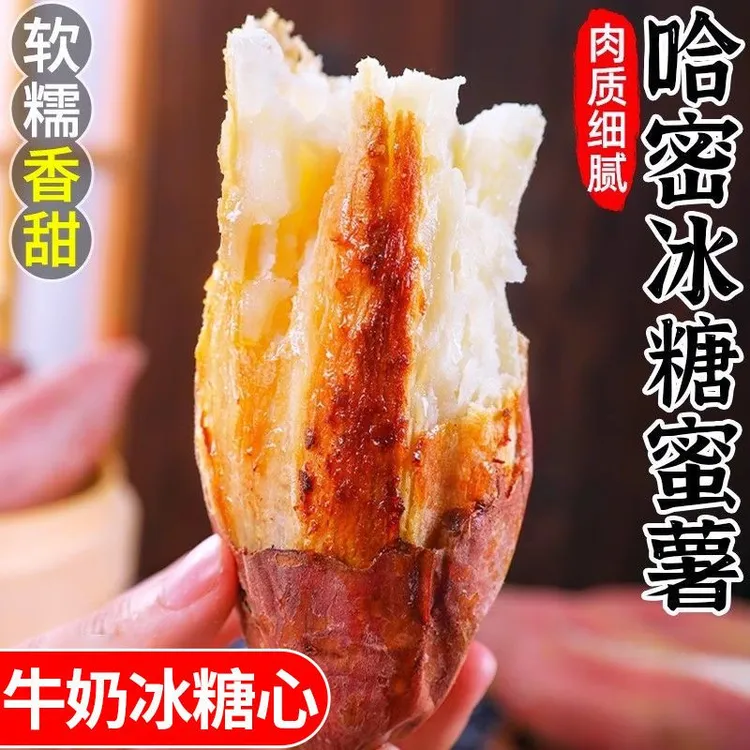 【邮政助农专属】冰糖哈密薯/白心红薯/5斤白薯冰糖薯/中果
