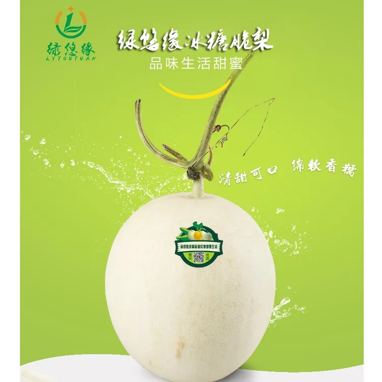 绿悠缘脆爽似梨香甜可口脆梨甜瓜甜出新高度6-7斤包邮