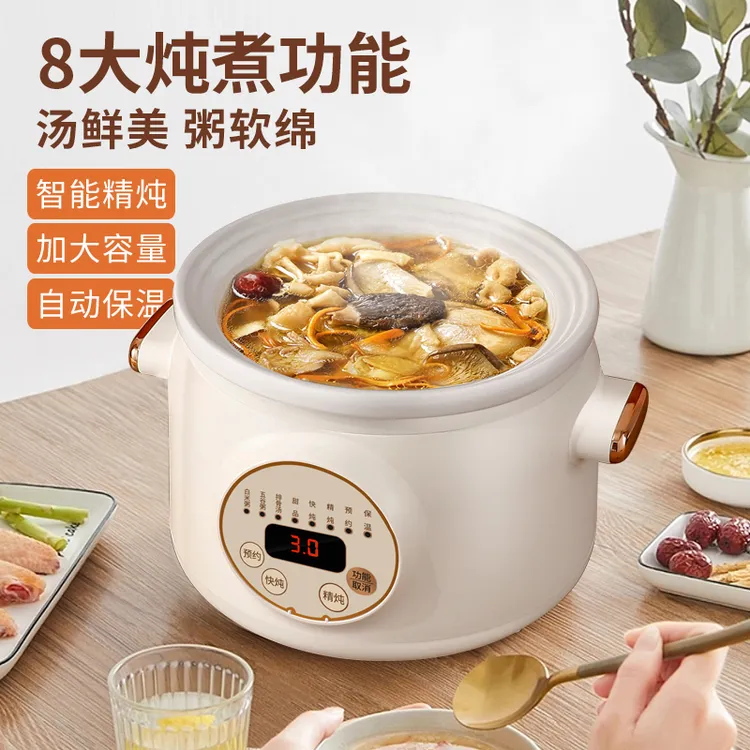 出口德国电炖锅煲汤锅熬煮粥神器家用多功能全自动插电养生锅陶瓷