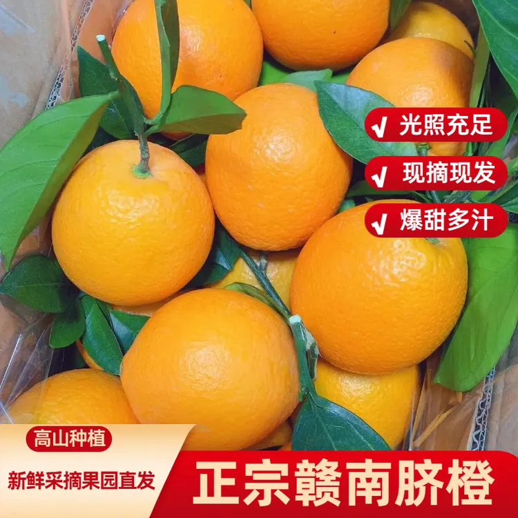 【新鲜现货】正宗赣南脐橙新鲜现摘应季水果赣州发超甜江西