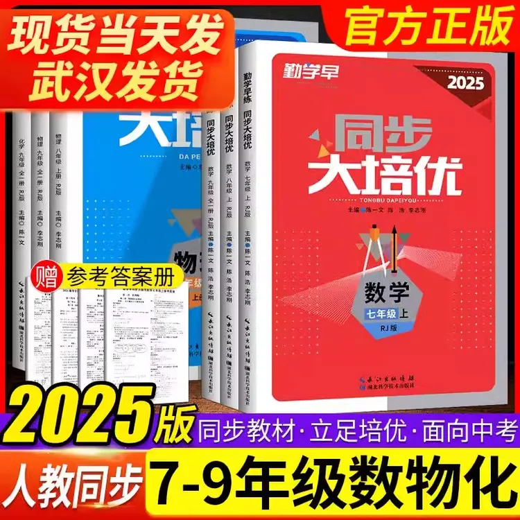 勤学早同步大培优七八九年级中考数学专题复习人教版初中真题