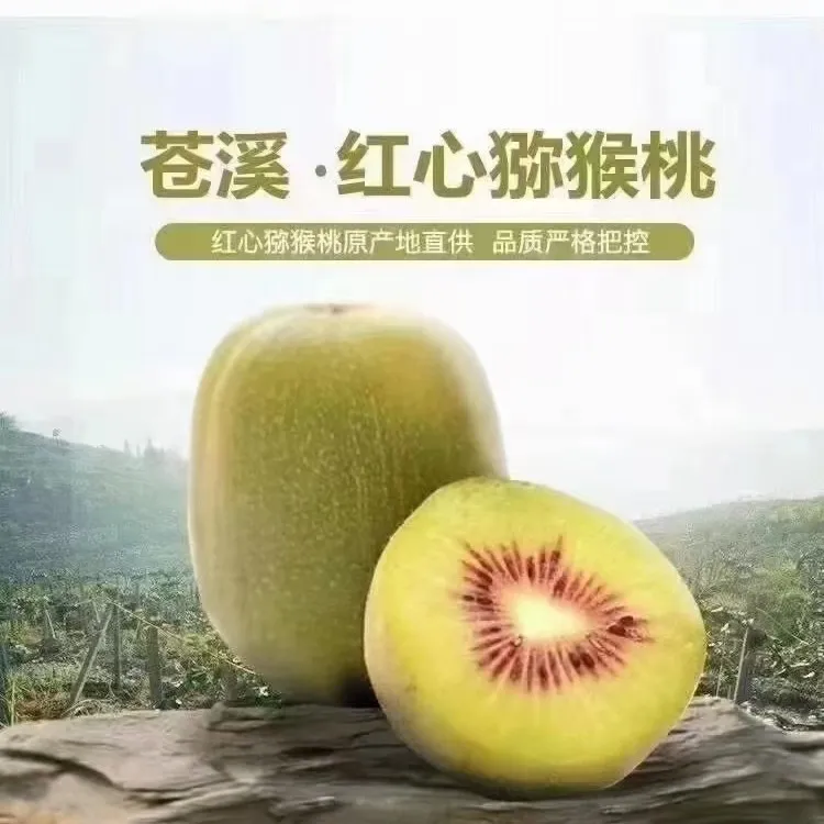 四川苍溪红心猕猴桃新鲜当季儿童植物正宗四川红心猕猴桃