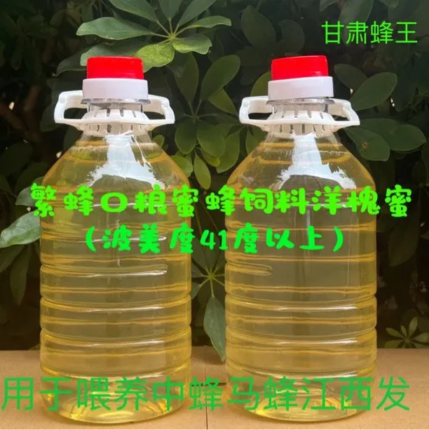 繁蜂口粮越冬饲料洋槐蜜用于繁殖蜜蜂饲喂越冬饲料养蜂中蜂