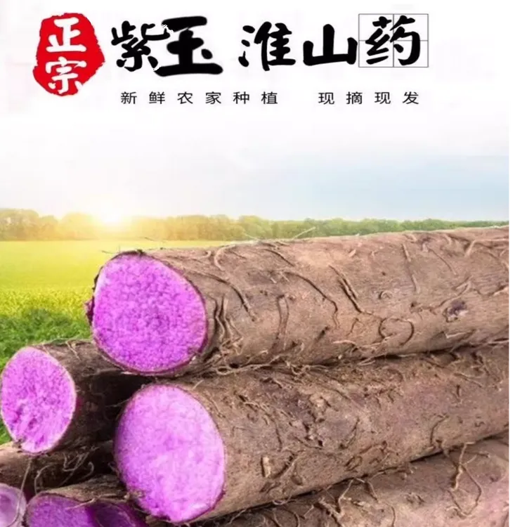 新鲜山药紫山药现挖现发紫玉淮山紫薯紫心毛薯当季时令蔬菜紫人参