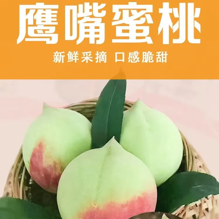 连平上坪鹰嘴桃正宗新鲜广东河源蜜桃脆甜现摘现发水果包邮5斤8斤