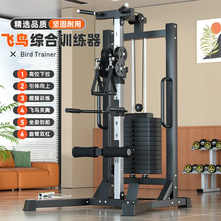 飞鸟龙门架高拉下拉夹胸室内健身综合训练器多功能锻炼架健身器材