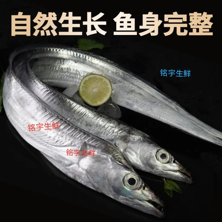 【整条钓带】新鲜速冻海钓带鱼   到手11-14条   五斤左右