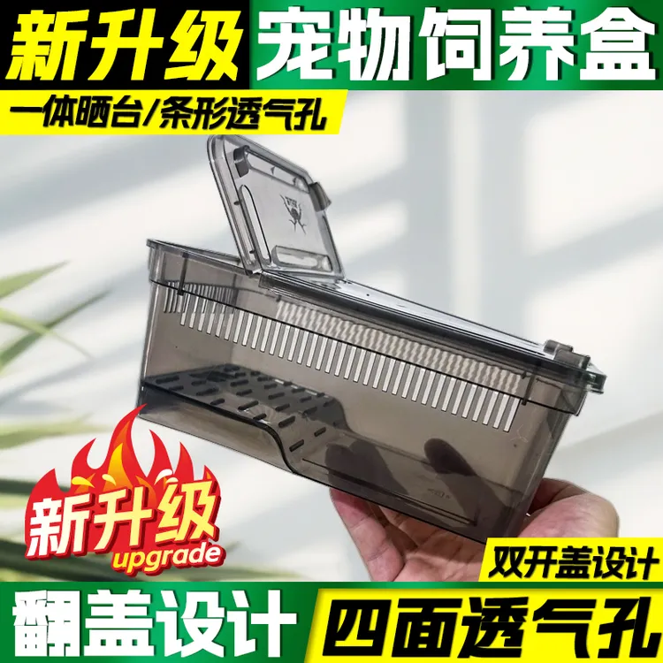 两栖水陆饲养盒角蛙乌龟螃蟹蝾螈爬宠专用带盖透气防逃育苗饲养盒