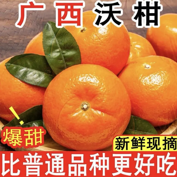 广西武鸣沃柑整箱新鲜水果包邮产地直发鲜甜多汁皮薄橘子新鲜水果