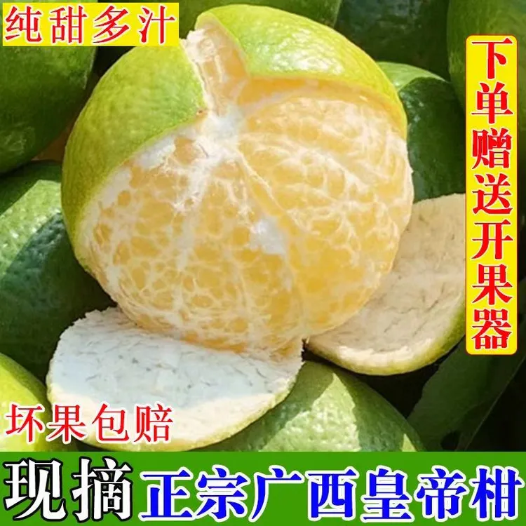 正宗广西当季皇帝柑新鲜水果现货速发2/3/5/9斤清甜多汁整箱包邮