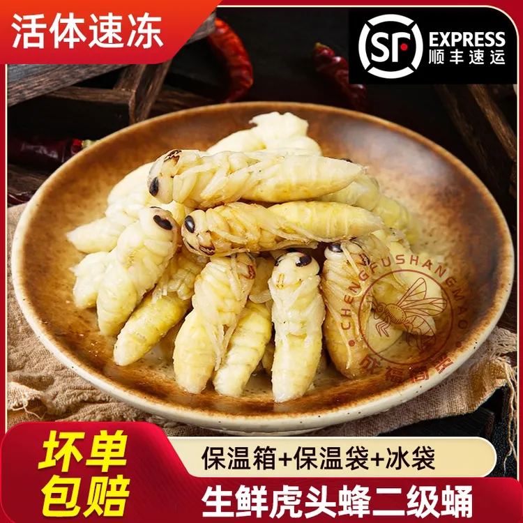 蜂蛹蜂巢蛹虫金环虎头蜂二级新鲜速冻食用生鲜昆虫大个头饱满蜂蛹