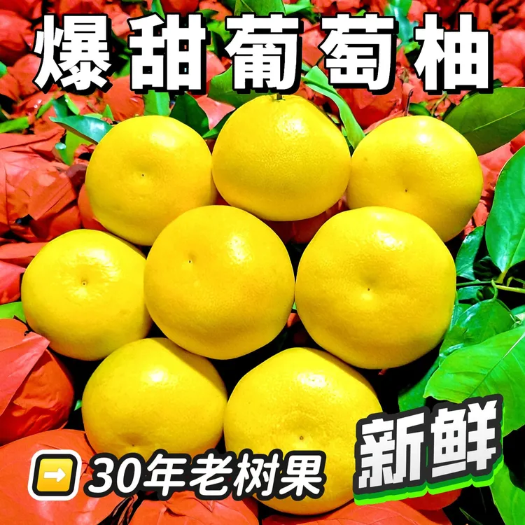 【产地直发】正宗福建黄金葡萄柚新鲜应季水果香甜多汁果园现摘现发
