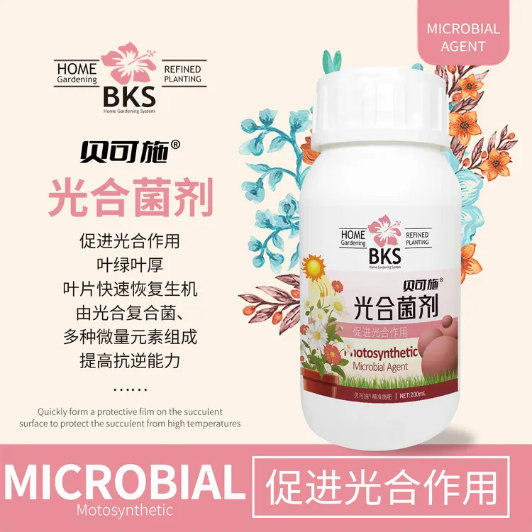 贝可施光合菌剂促进光合作用绿叶素叶绿营养液绿植阳台通用园艺
