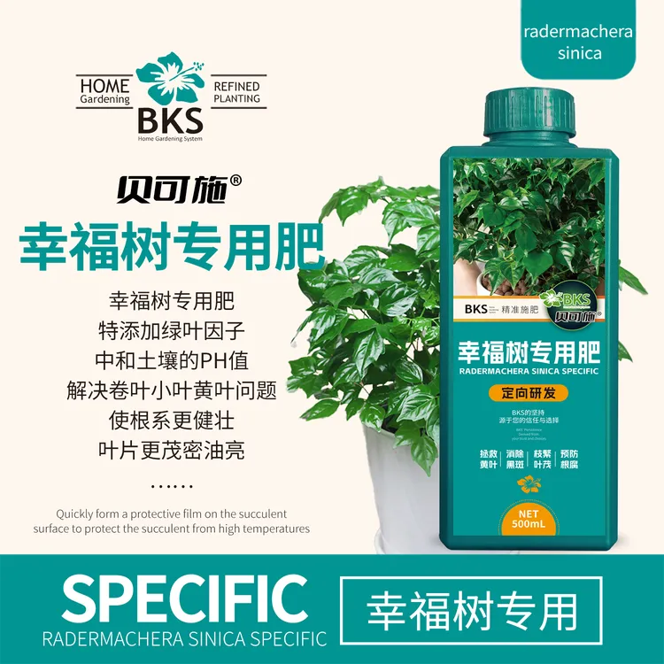 贝可施幸福树专用肥营养液浓缩直喷型植物花卉绿植专用花肥园艺