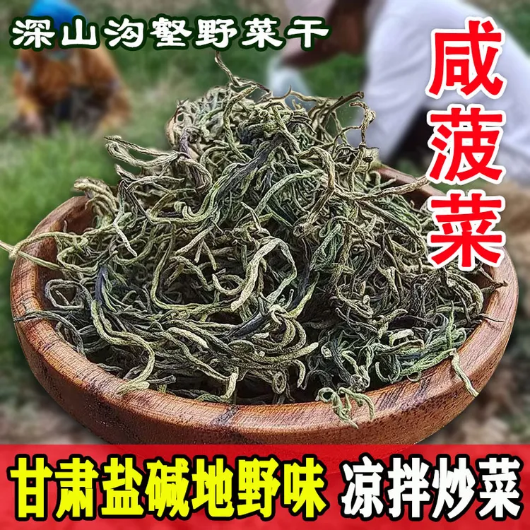 咸菠菜甘肃老家河沟碱蓬菜盐碱地野菜凉拌菜干菜海英菜天然野生菜
