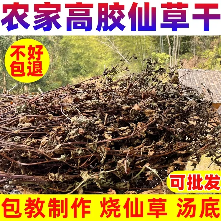 福建龙岩原产地高胶仙草叶烧仙草干新鲜草干龟苓膏粉包教程