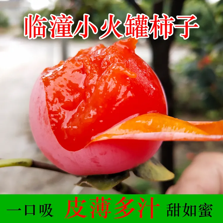 【水甜不涩】陕西特产临潼火晶小蜜柿子15/30/45枚火罐柿子蜜柿