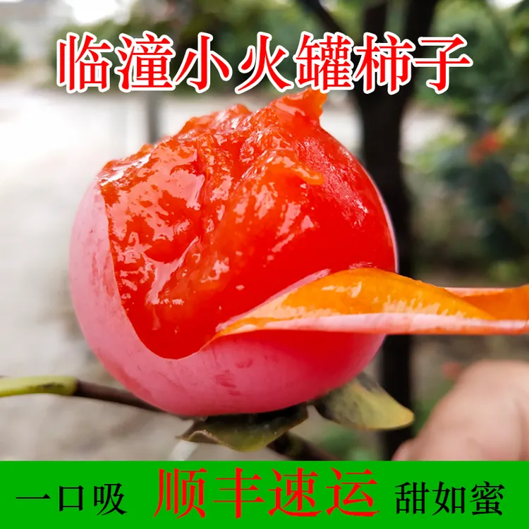 【顺丰速运】临潼火罐柿子15/30/45枚新鲜小蜜柿陕西特产现摘软柿子