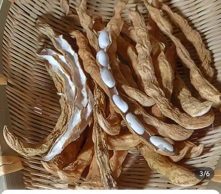 干豆角贵州农家干货现晒干豆角（干豆壳）250克/500克包邮