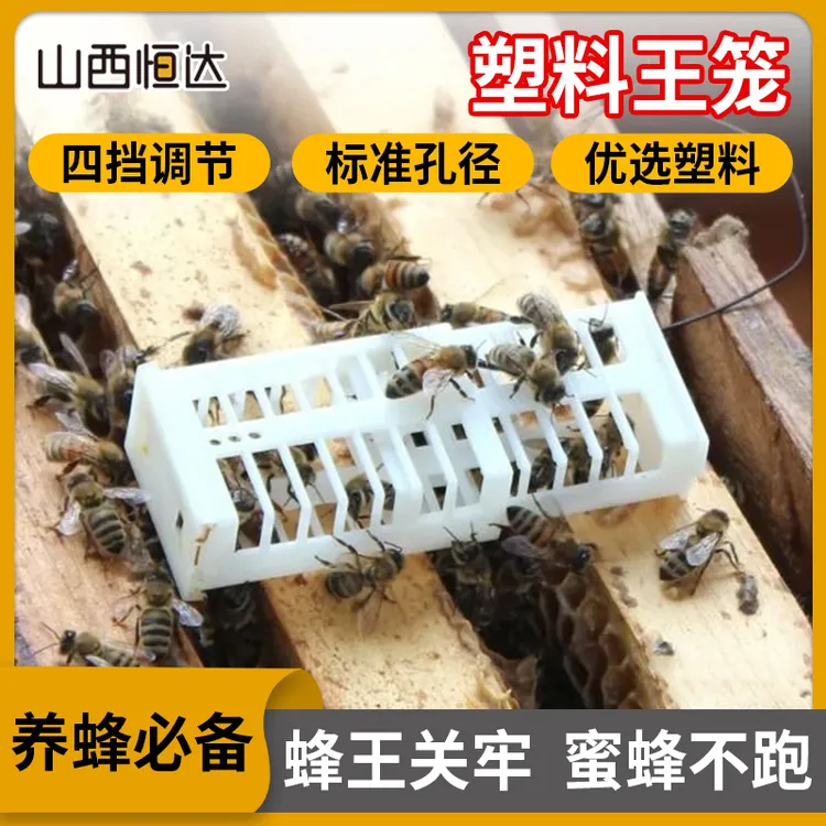 【塑料王笼】多功能囚王笼中蜂意蜂加长介王笼蜂王笼养蜂工具
