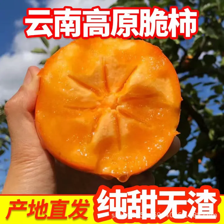 云南高原甜脆柿子