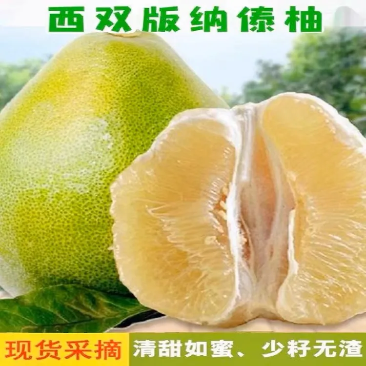 正宗西双版纳黄金蜜柚 皮薄肉厚 汁水丰富 