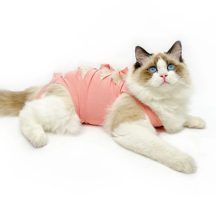 猫咪绝育服透气手术后服用药防舔防抓宠物猫狗衣服断奶防掉毛薄款