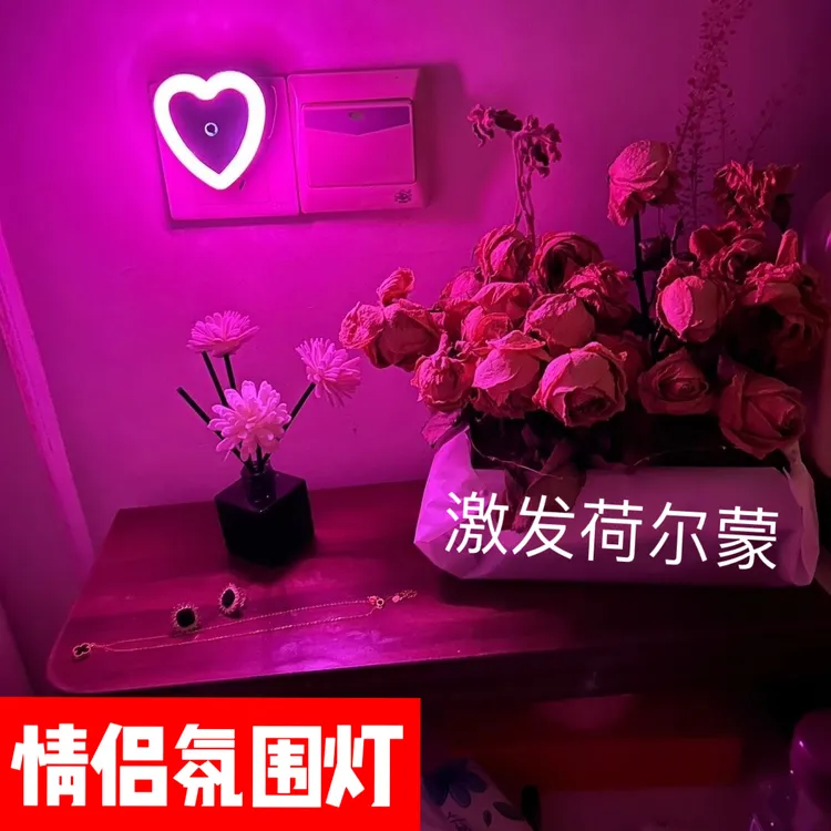 情侣氛围灯夫妻小夜灯情调灯家用床头灯光控感应灯卧室节能照明