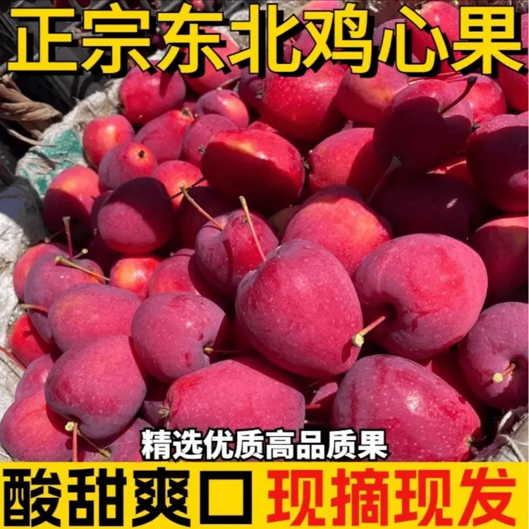自然成熟鸡心果 沙果 鸡心小苹果 东北新鲜应季水果包邮 3斤/5斤