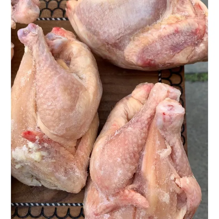 新疆特产 自养鹌鹑肉 10个装 ，1300g