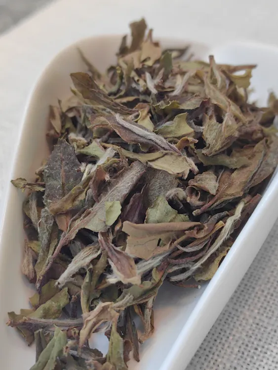 2018年小菜茶｜散贡眉｜可可香｜花香蜜香｜冰糖香甜｜口感厚润茶劲足｜