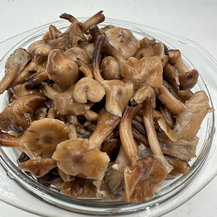 鲜榛蘑 腌制榛蘑 东北特产 无添加无防腐剂500克*2罐 共二斤