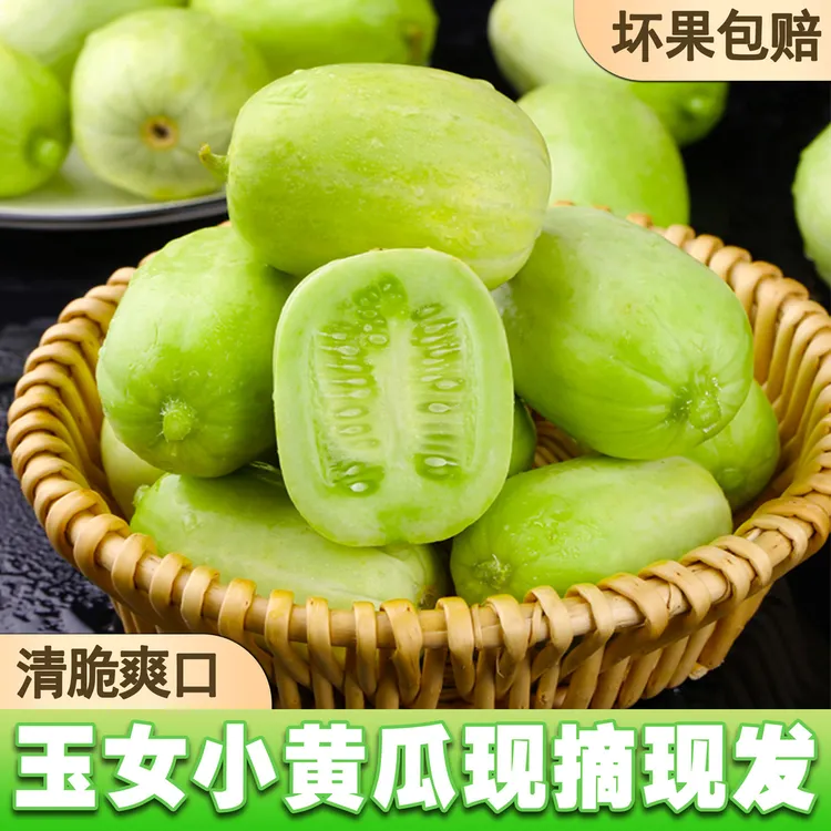 山东金童玉女小黄瓜新鲜现摘拇指黄瓜1斤5斤水果白玉爽口鲜嫩青瓜
