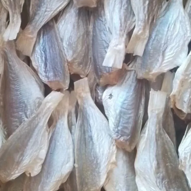红杉鱼  500g 包邮