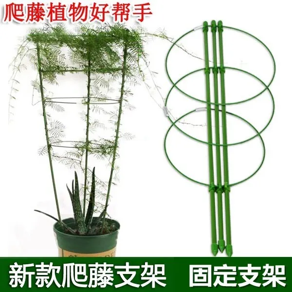 花卉爬藤架植物花架支架室内铁线莲圆形支撑杆阳台攀爬铁艺适用